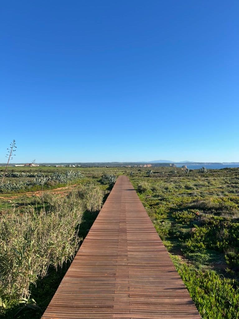 Runners Paradise
