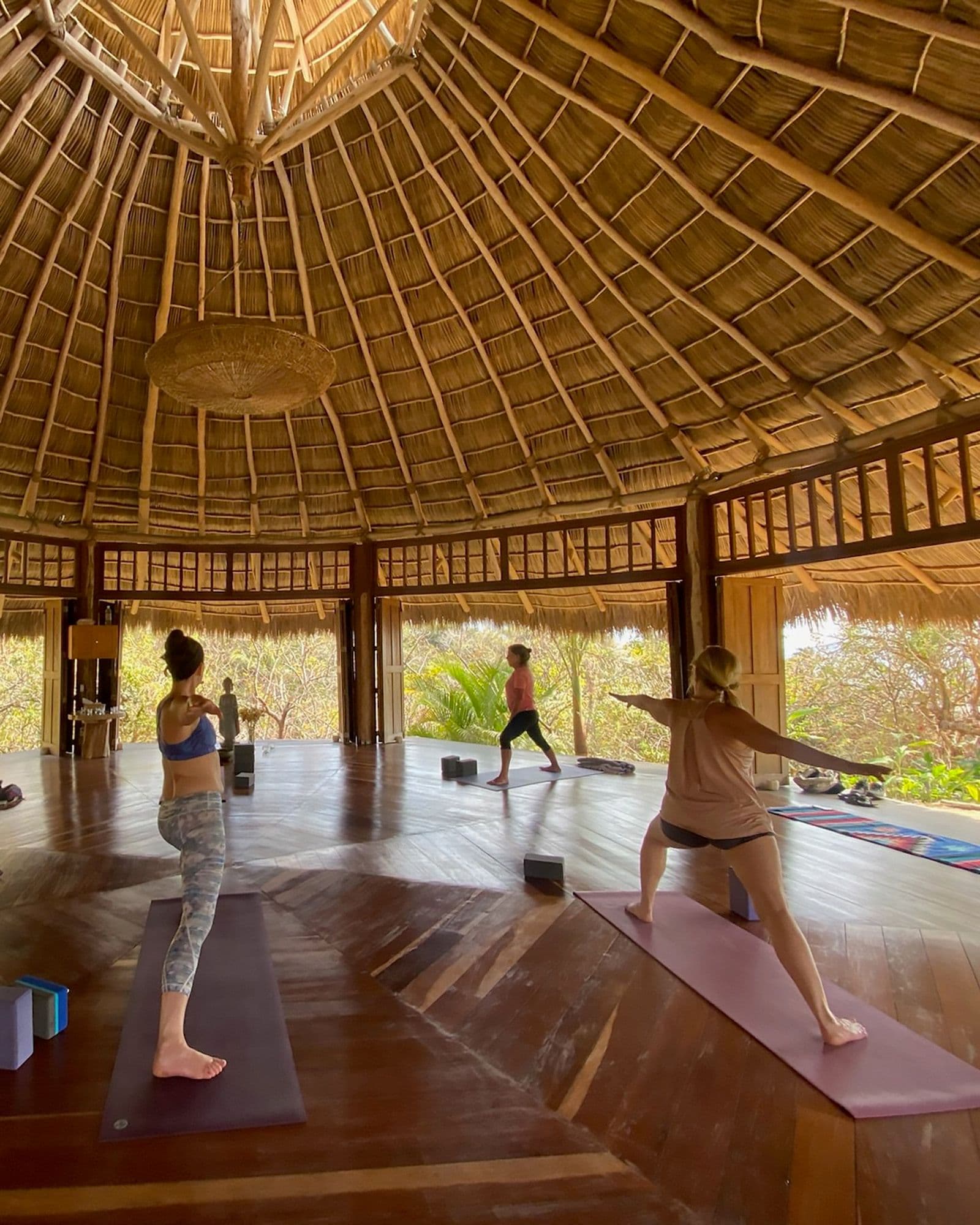 OLAvedi Yoga & Retreats