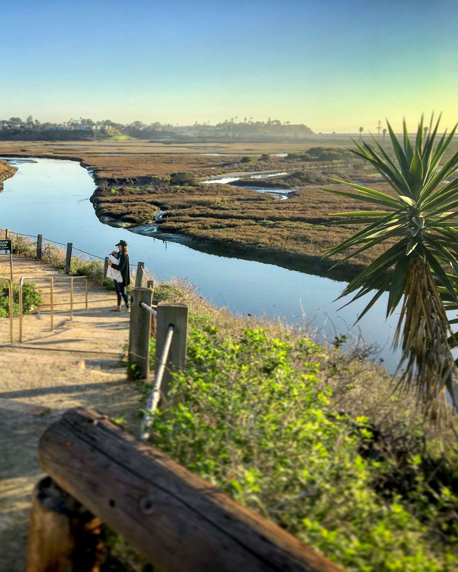 San Elijo Lagoon Trails