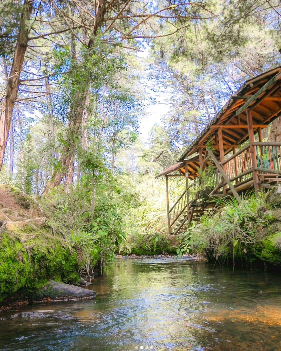 Parque Arví Day Trip