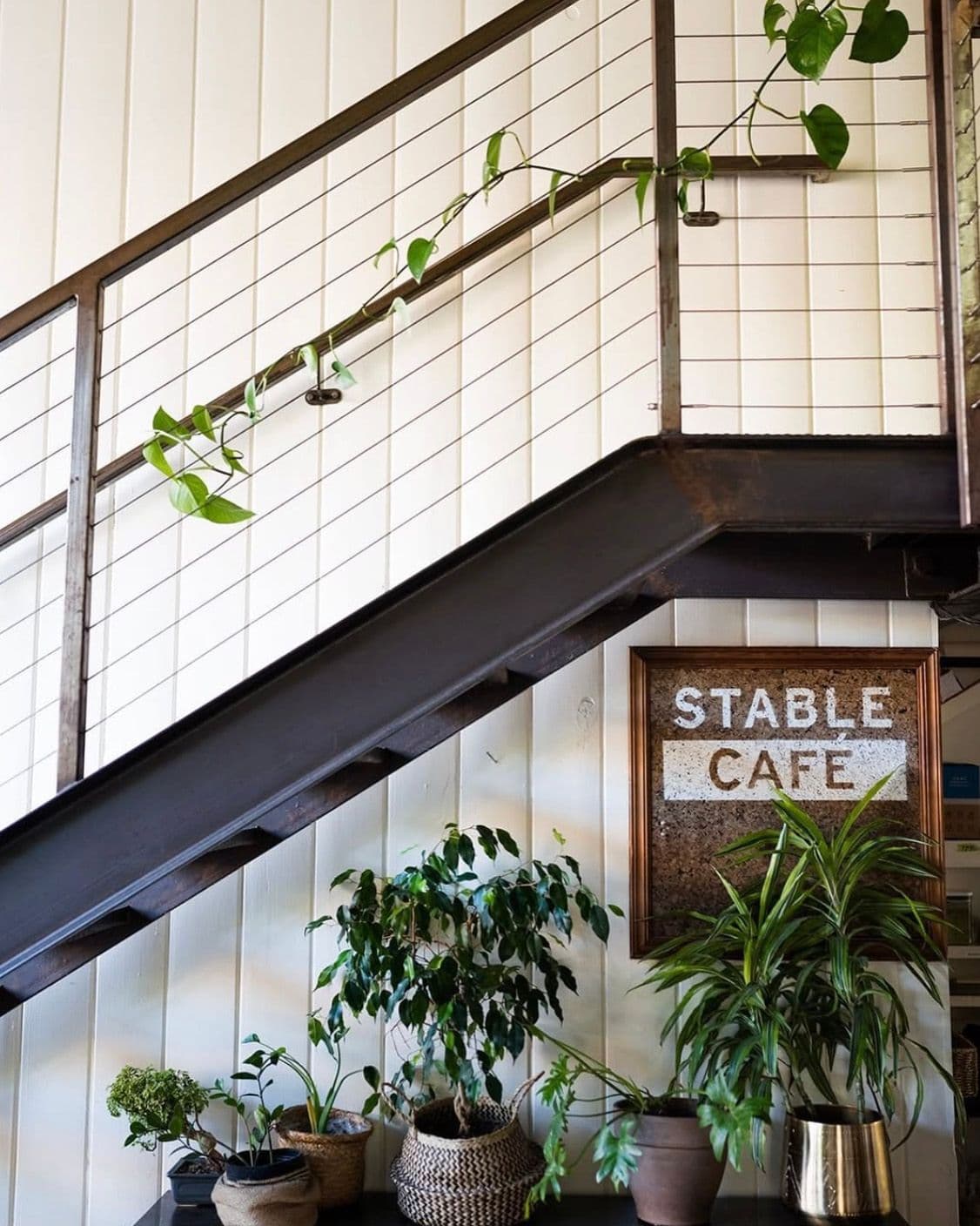 Café Jardín Estable