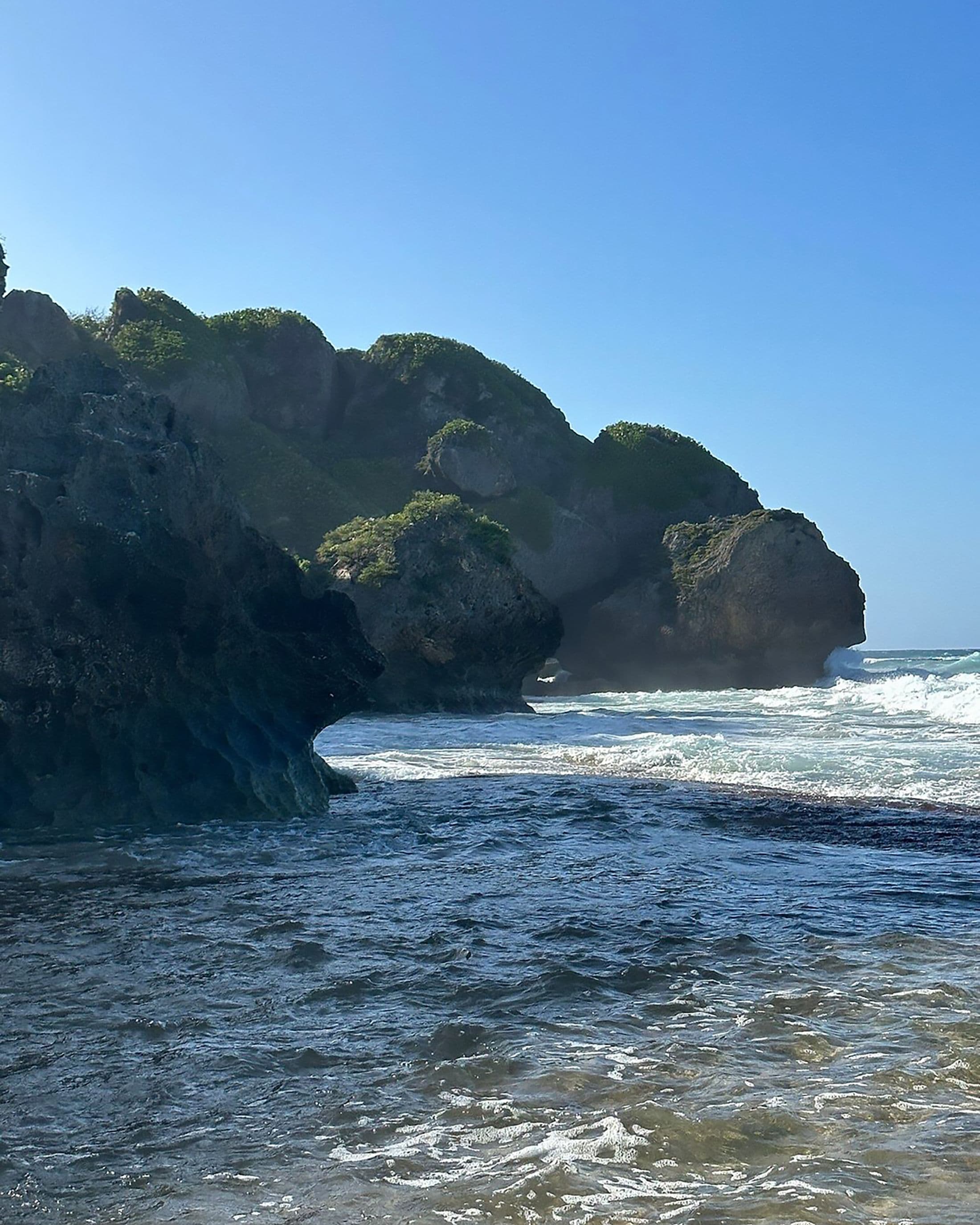 Hike to Survival Beach