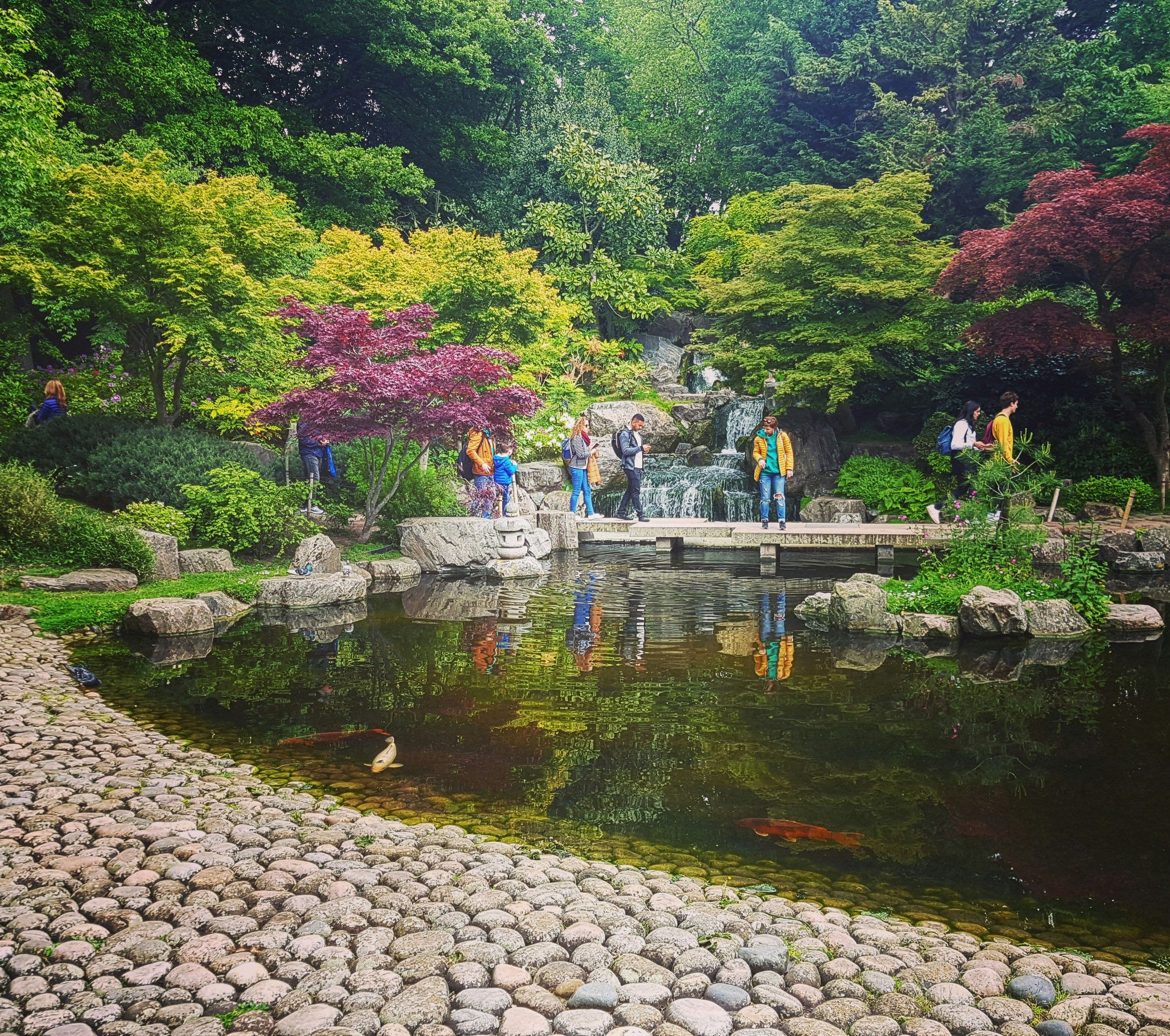 Discover Kyoto Garden in Holland Park