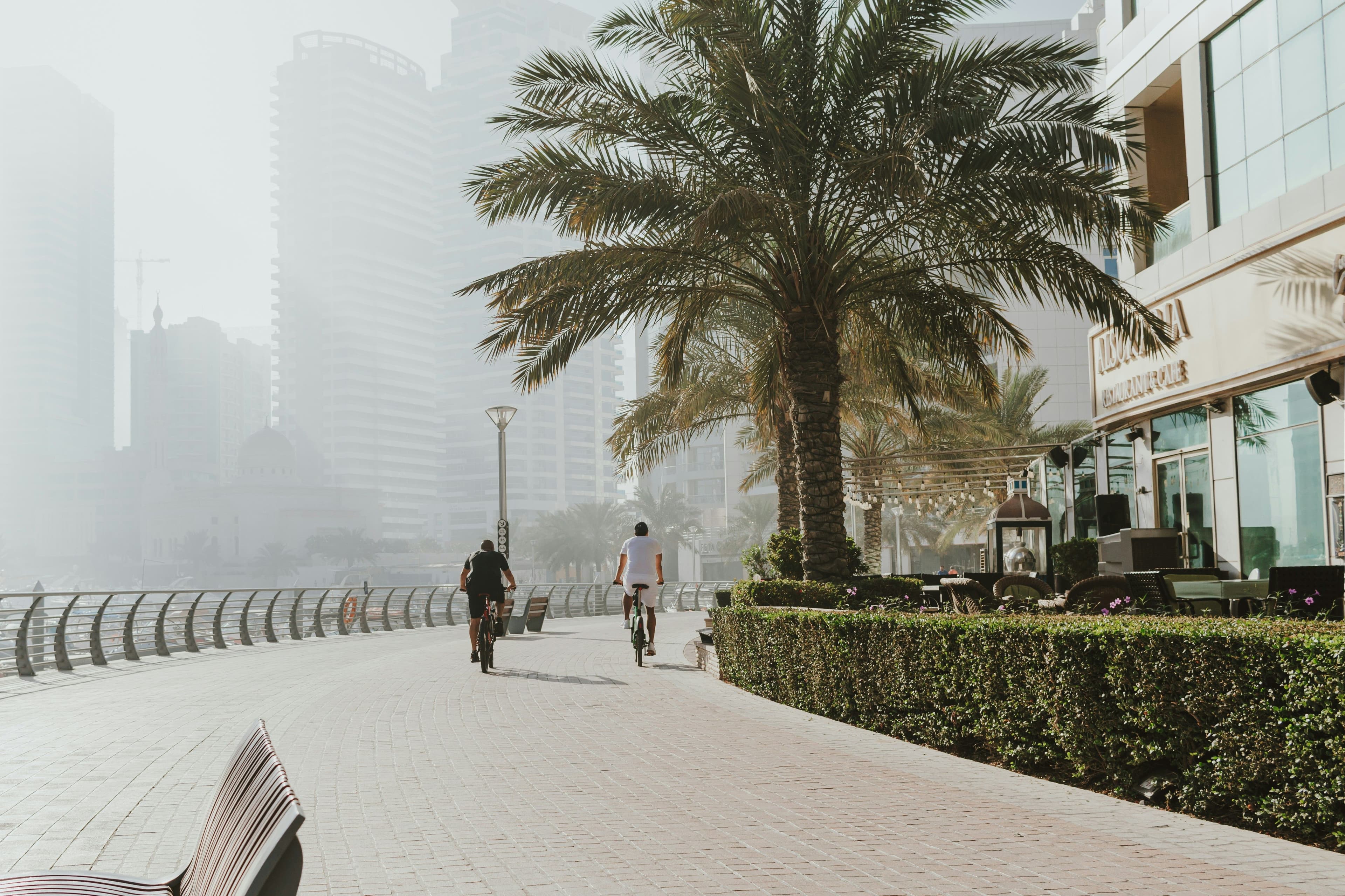 Enjoy Palm Jumeirah, JBR & Marina