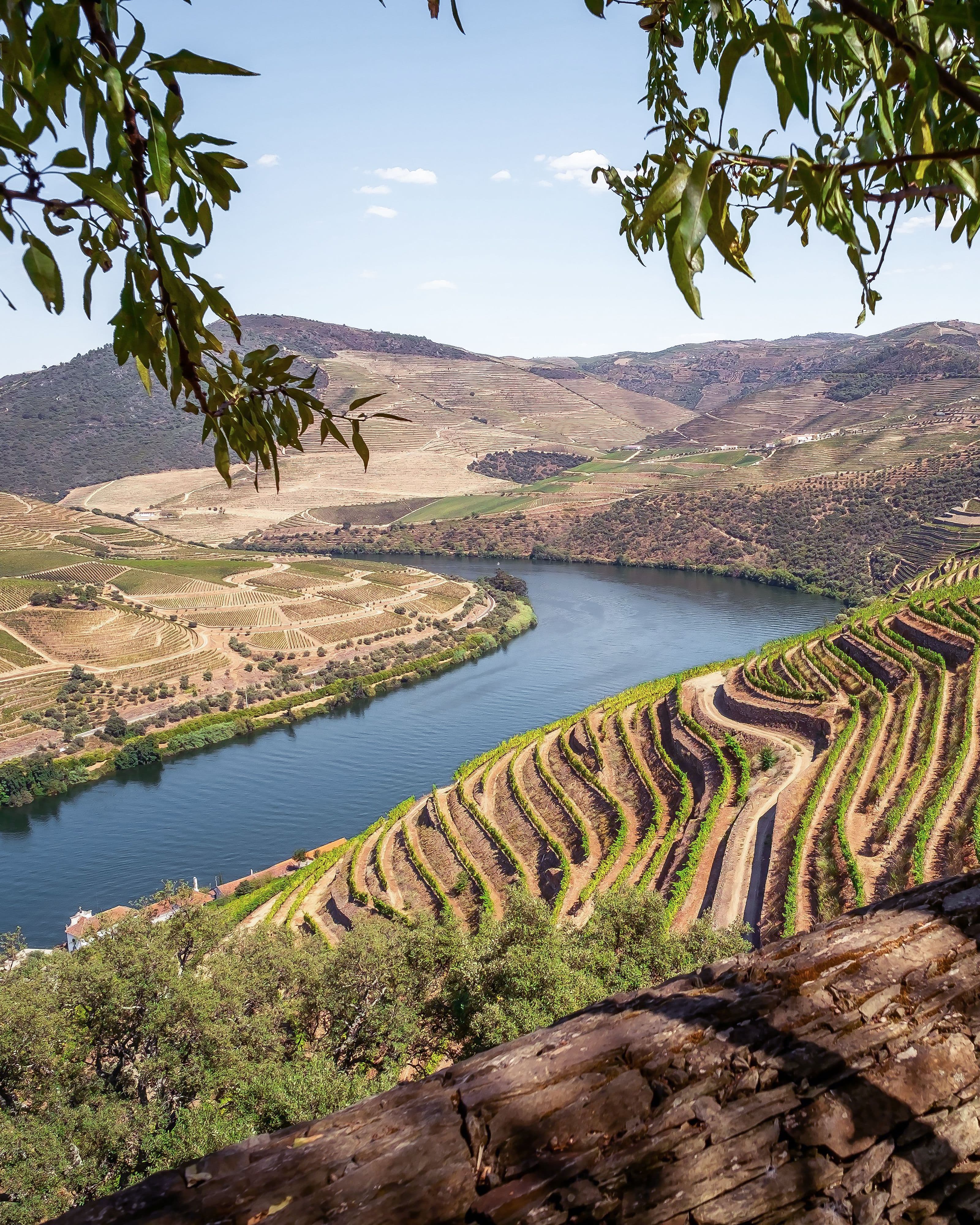 O Vale do Douro