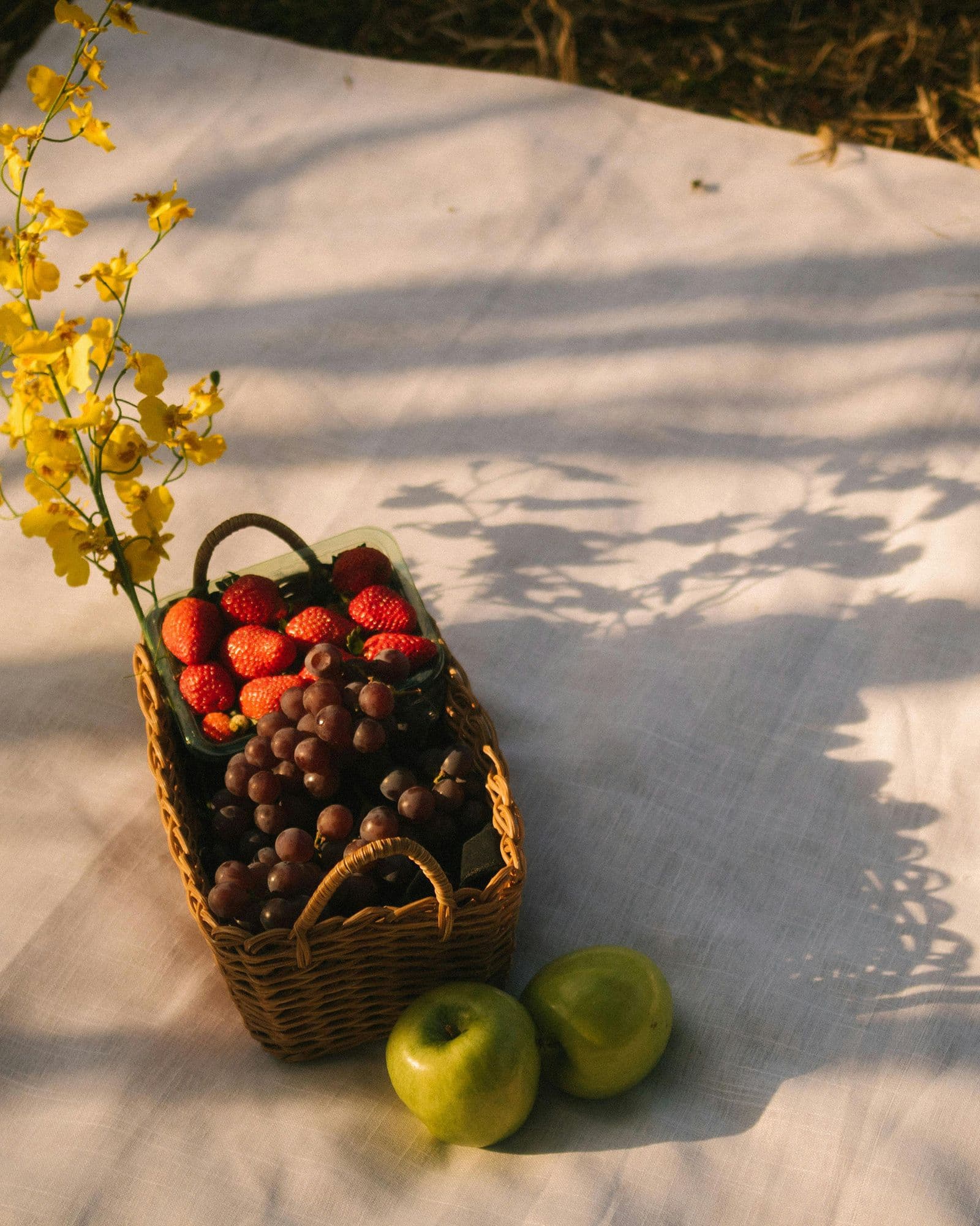 Picnic Time at Parque La Presidenta