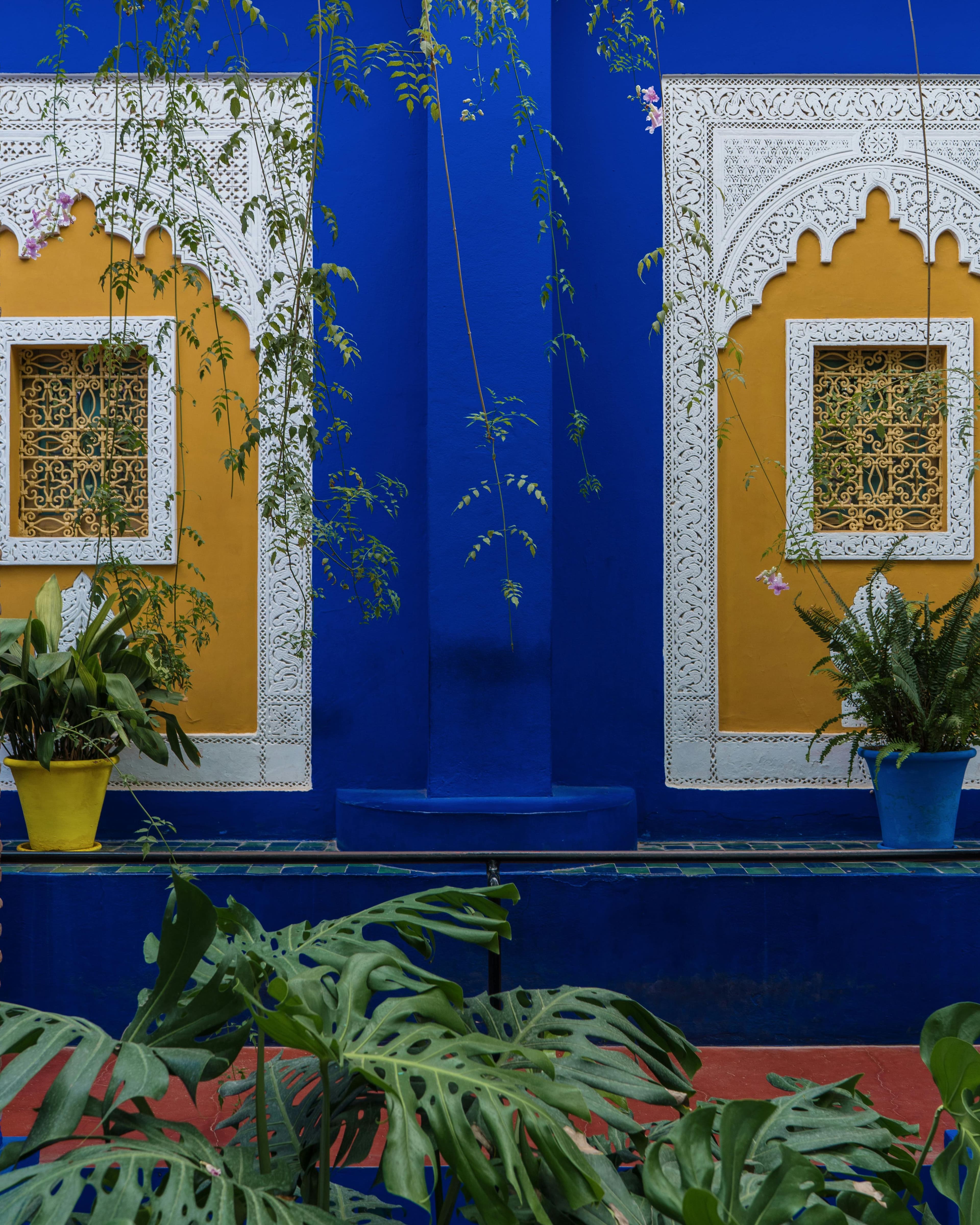 Wander the Jardin Majorelle