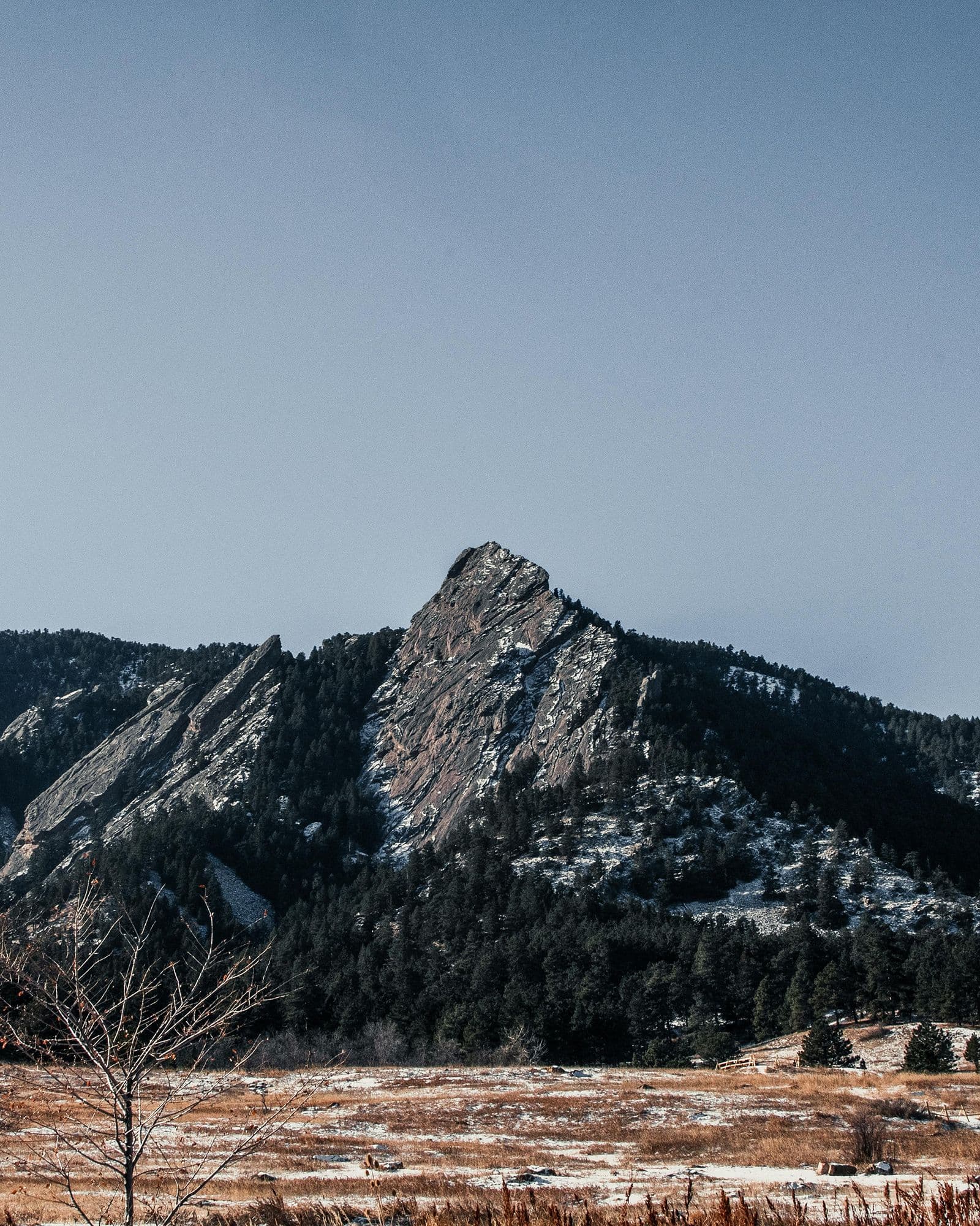 Picnic at Chautauqua Park