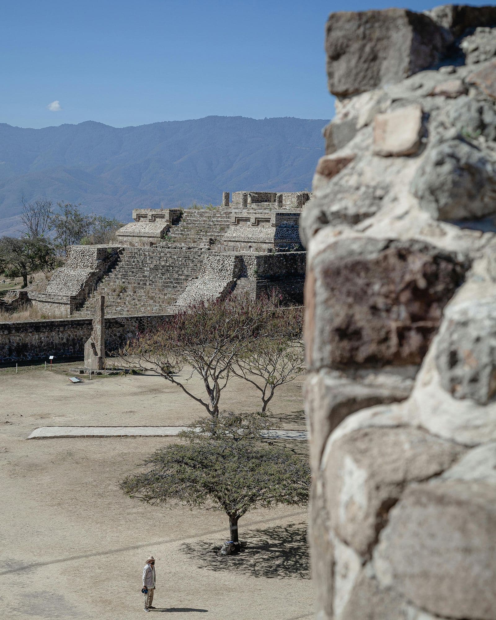 Monte Albán 