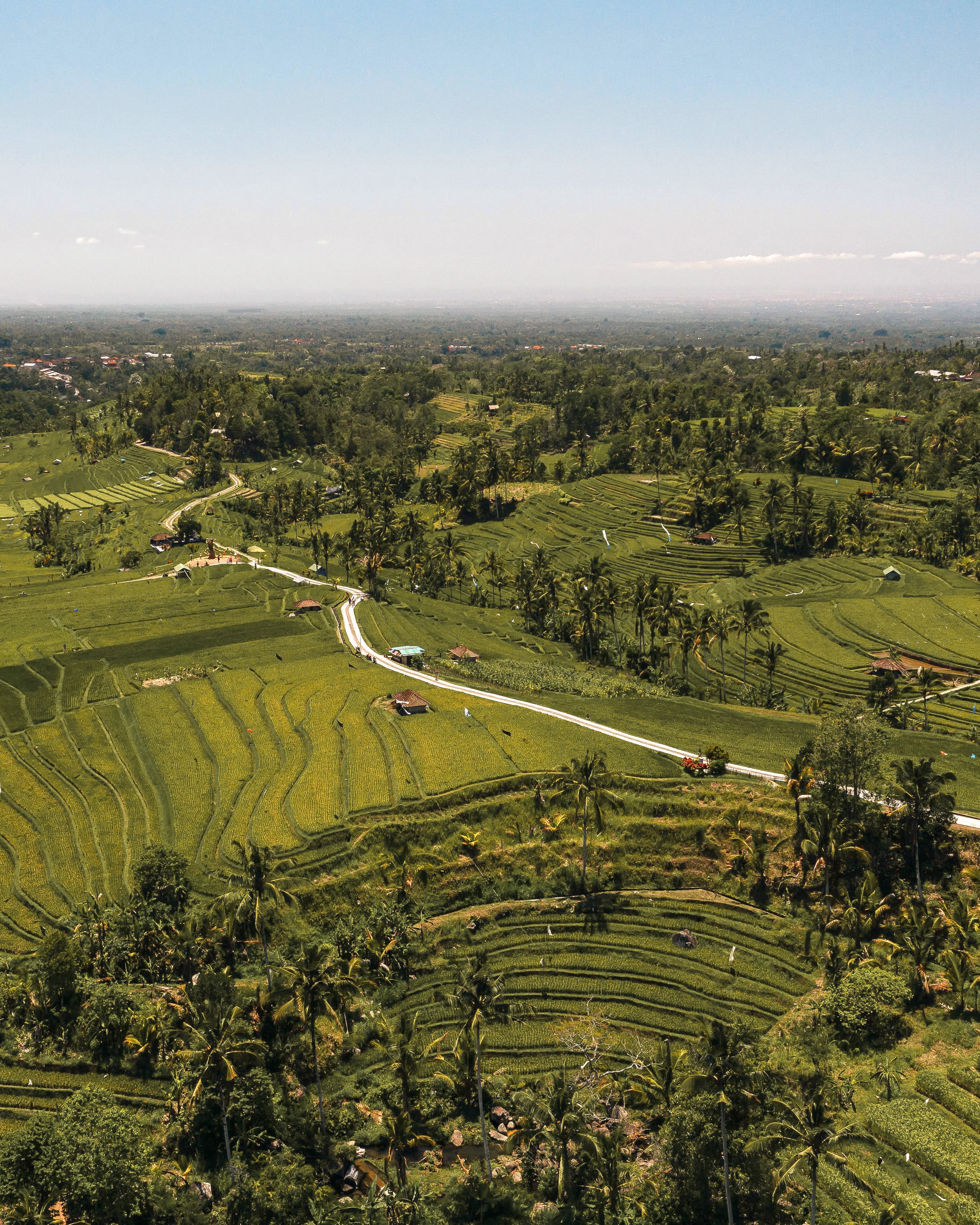 Scooter Ride to Seseh & Cemagi