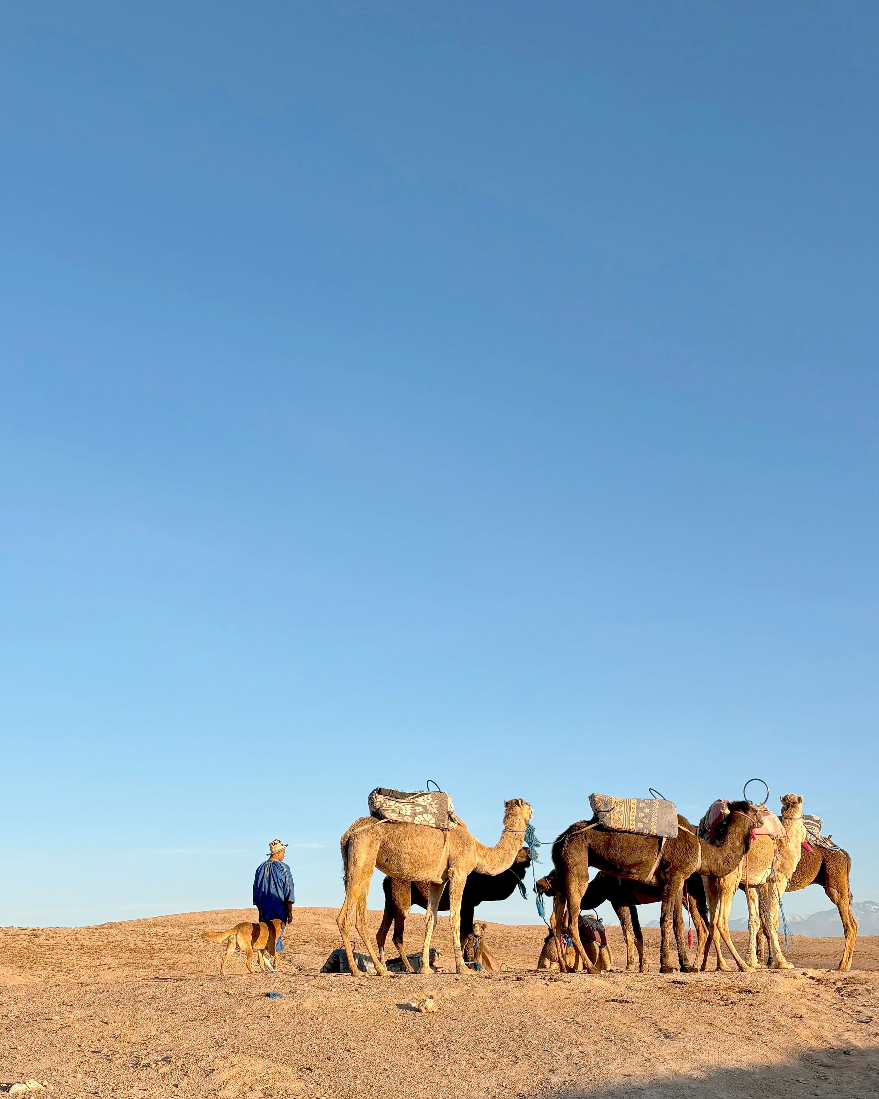 Agafay Desert
