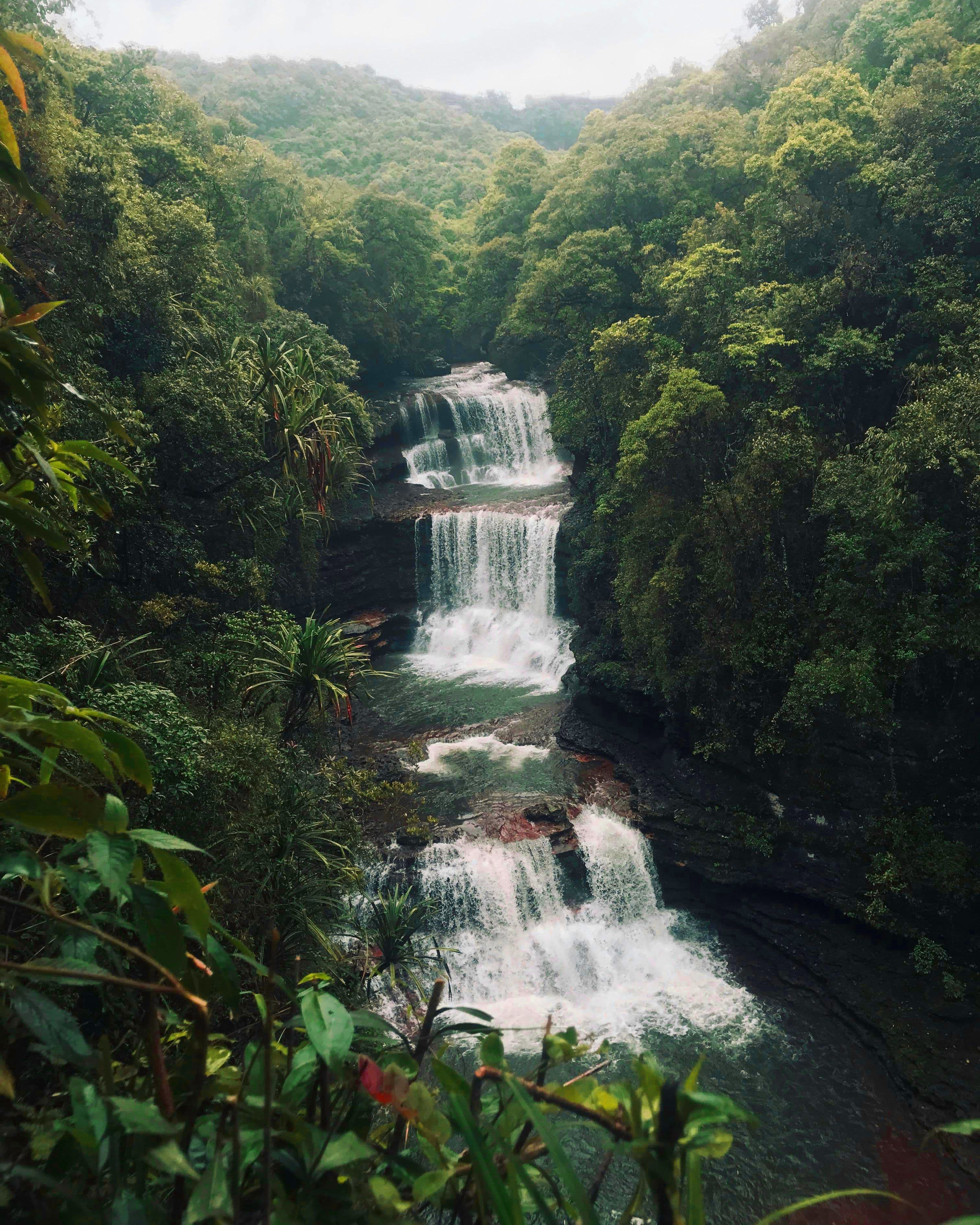 Caminata a las Cataratas de Montezuma