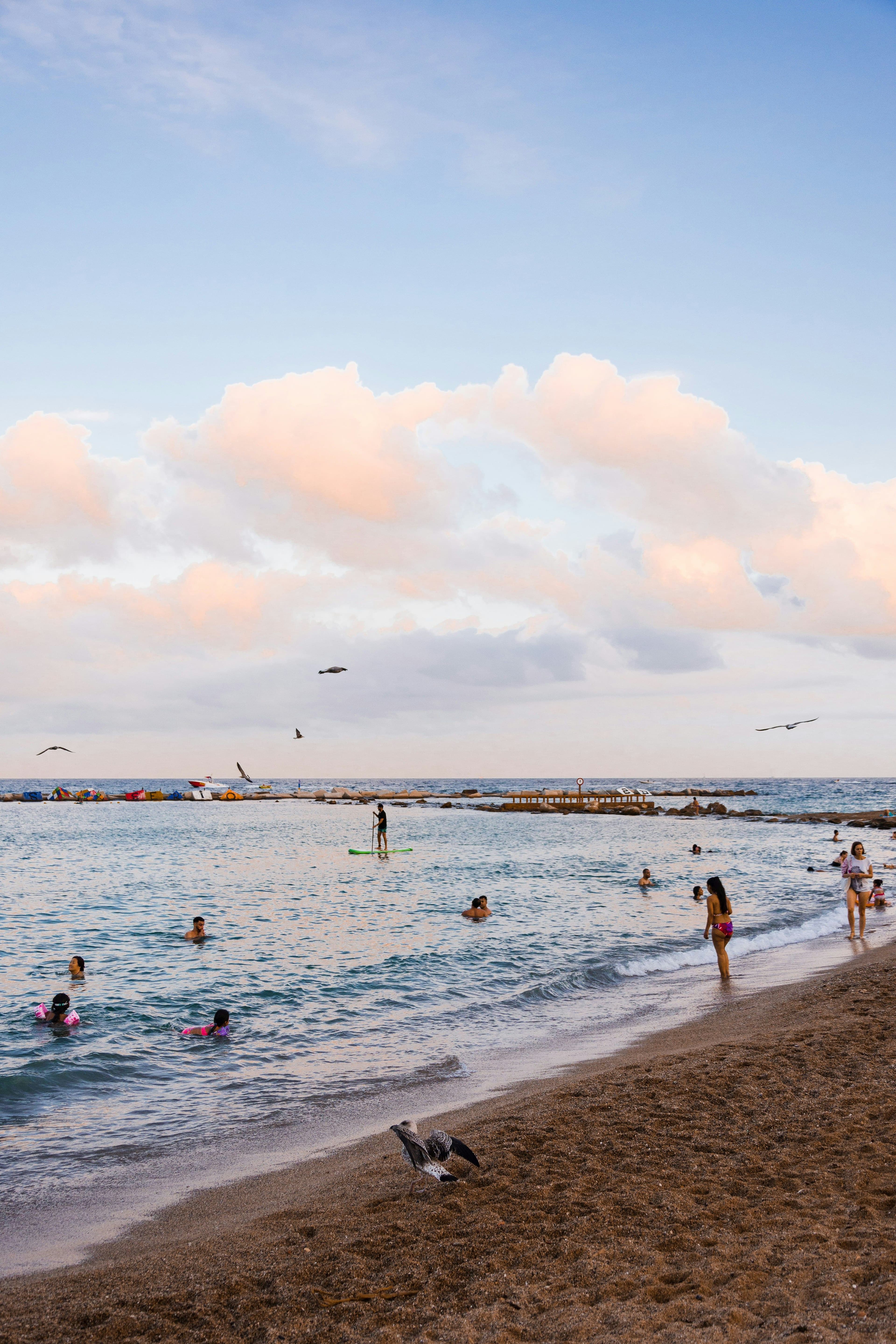 Swim at Barceloneta