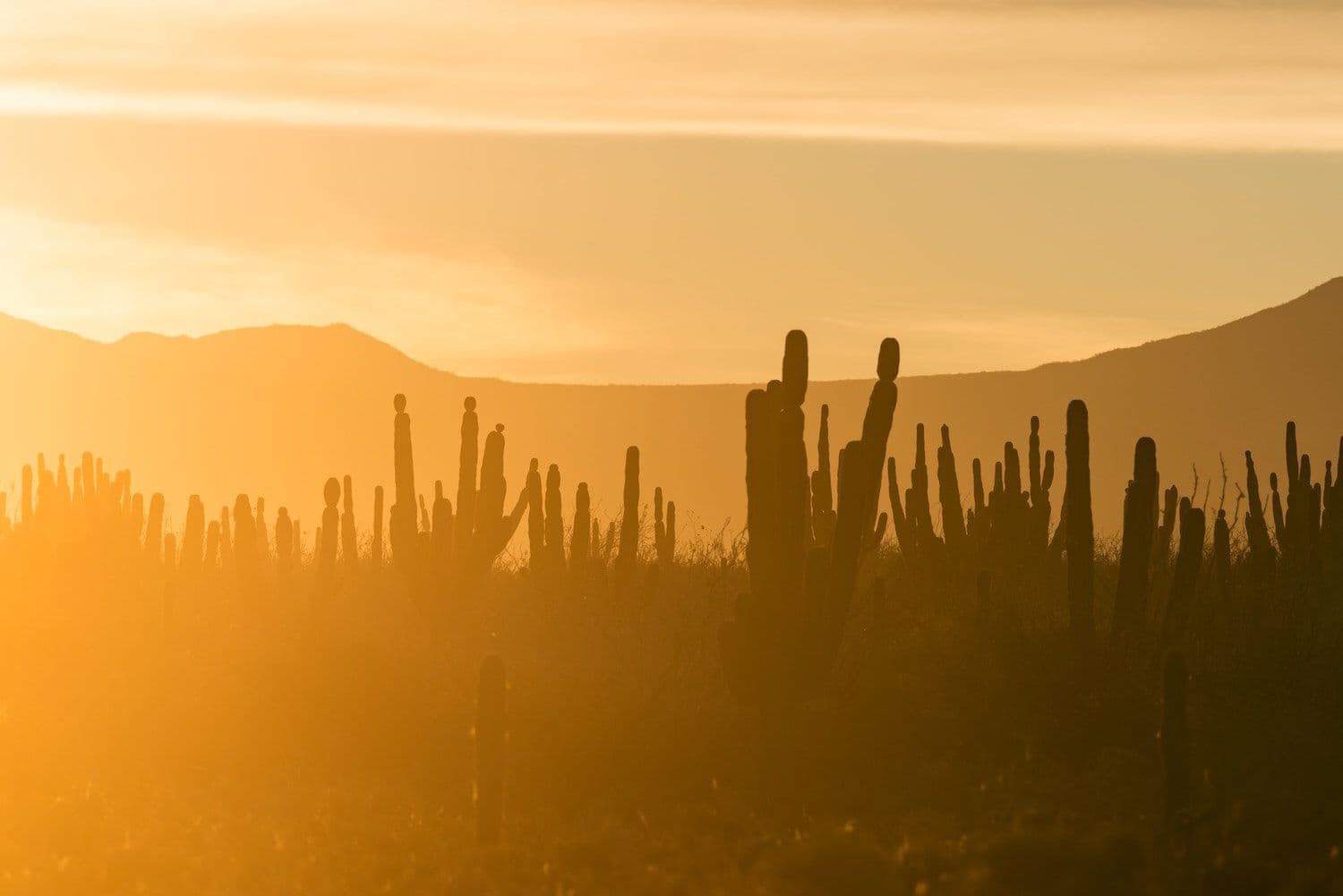 blog-header